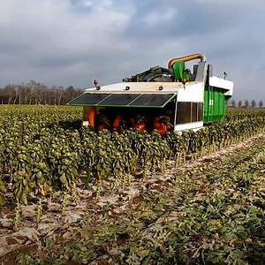 This giant machine weaves through fields as harvesters quickly collect crops 🌱 | In The Know Innovation