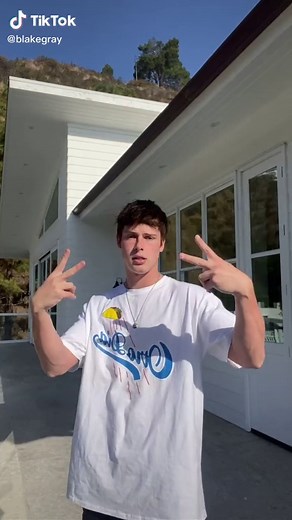 Bee Dude: An Unexpected Buzz of Fun