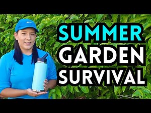 10 Summer Garden Survival Tips For Hot Climate Gardeners - Strategies For A Successful Summer Garden