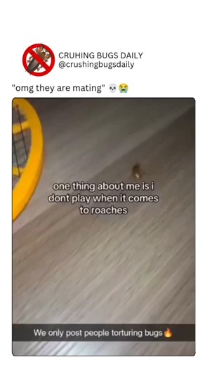 CRUSHING BUGS DAILY | "In this brutal scene, two helpless bugs are caught in a moment of pure torment. Trapped and exposed, they face relentless torture that... | Instagram
