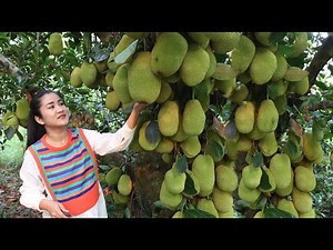 Amazing 1000 jackfruits, Yummy sticky rice with jackfruit recipe - Cooking with Sreypov