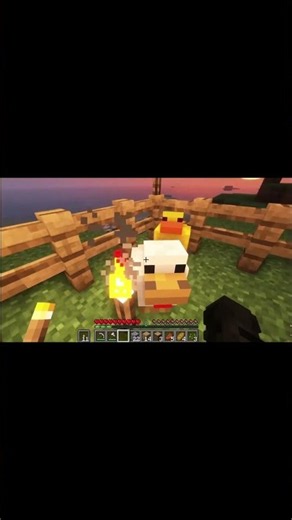 WHERE DOES THE DUCK ALWAYS GO AT 3 AM IN MINECRAFT AND THE STRANGE MYSTERY BEHIND IT!?