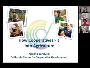 How Cooperatives Fit into Agriculture