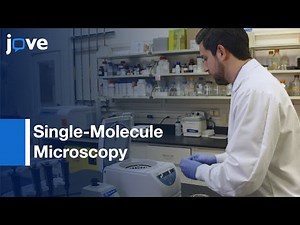 Single-Molecule Microscopy to Determine Diffusive States of Molecules | Protocol Preview