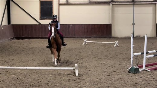 veldig gammal video🥸Q: har du ridd tur iår? #ErolexZ #zangersheide #younghorse #xyzabc #fyp