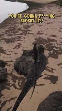 The Life of a Troodon