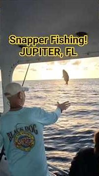 Fishing for Lane Snappers! In Jupiter Fl. #fishing #saltwaterfishing #floridafishing