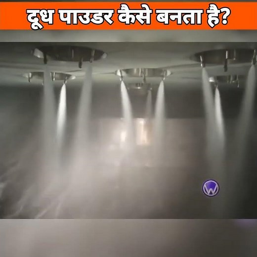 Milk powder making full process 🐮🐮🐮🐮