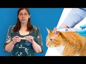 Using a Micropen to apply transdermal medications