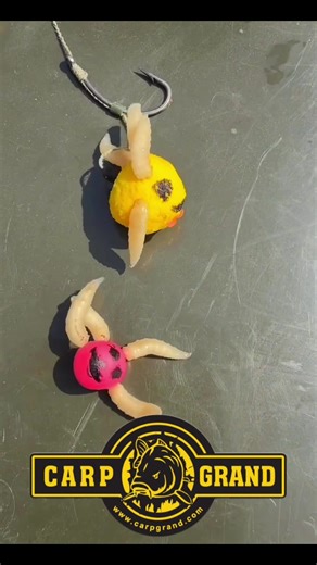 Beginner's Guide to Carp Fishing Techniques