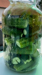 396K views · 6.6K reactions | Kovászos uborka.Igazi nyári...