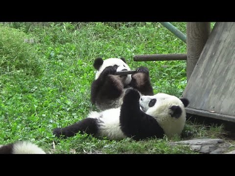 Welcome to Aba, Each Glance Is A Magical Landscape