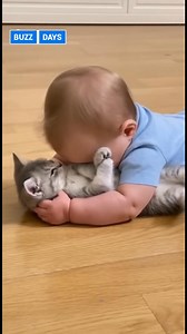 Le début d'une grande amitié... et de gros câlins ! 🥰 #bebe #chaton #mignon #amour #calin #amitié #drole #humour #insolite #viral #lol #mdr #funnyvideos #videodrole #reelsfb Made with AI | BuzzDays