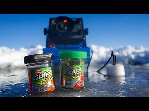 Ice Fishing with GULP ALIVE! (IT ACTUALLY WORKS)