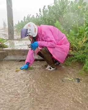 After the Storm Restoring a Completely Blocked Drain System #flood #flooding #satisfying #rain