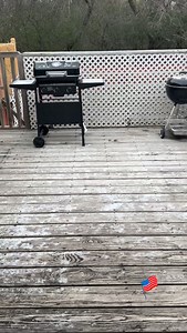 21 reactions · 58 shares | I got up from bed… and guess what? | Amos Momo | Facebook