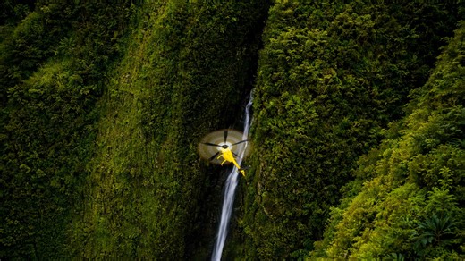 Helicopter exploring narrow canyon filled with dense vegetation