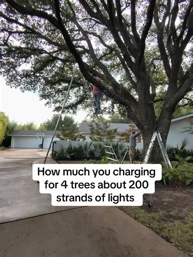 How much does it cost to wrap a tree with Christmas lights #money #diy #