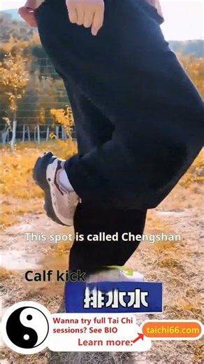 Walking hacks pros use! Learn & practice now! #TaiChiExercisesForSeniors7Basic #qigong #chikung