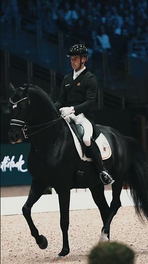 When the crowd loves every minute ✨