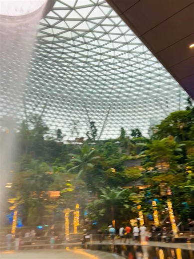 Change Airport waterfall and rainforest | Charlie Lapson