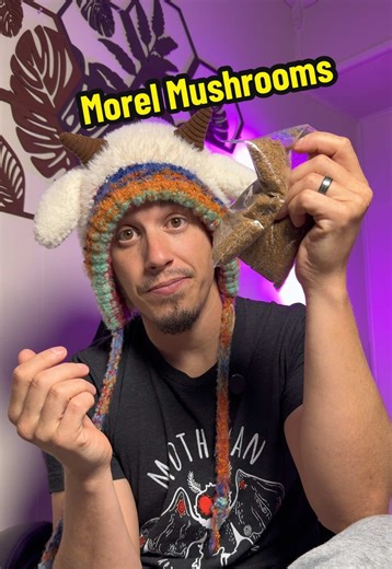 Grow Morel Mushrooms Naturally with Soil-Based Kits