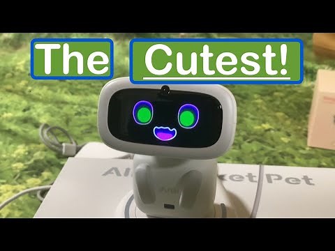 Living AI Aibi Pocket Pet Unboxing, Demonstration & Review Part 1 #cuterobot #aibi #aibipocketrobot