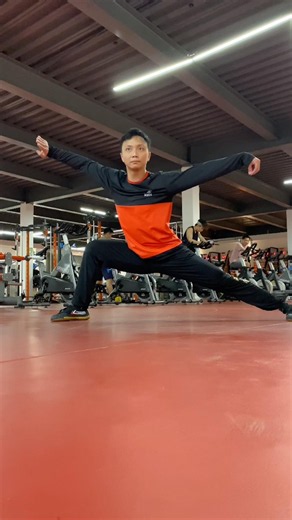 Wushu Chang Quan Long Fist Training #wushu #kungfu