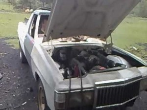 Holden WB Ute Start up