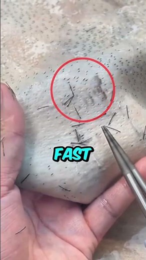 How to Clean Chickens, Ducks & Geese the Easy Way!