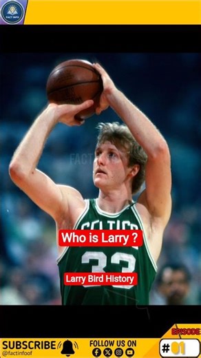 The Hidden Truth Behind Twitter Bird | #facts #shorts