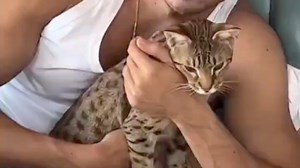 巴西男模bruno📸✨