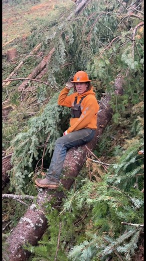 Logger Life: Adventures in Forestry Work