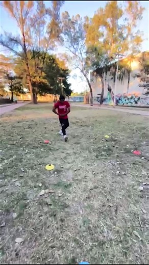 Softball Training Tips and Techniques for Success