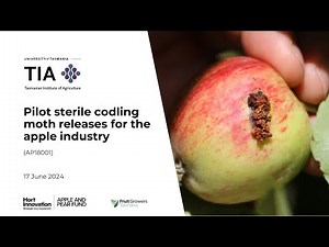 Sterile Codling Moths for Australian Apples webinar 2024