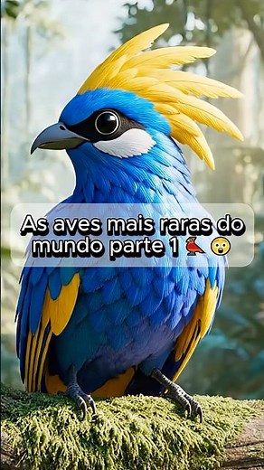 🔥 AS AVES MAIS RARAS DO MUNDO! 😱🕊️ (Parte 1) #curiosidades #animais #avesraras #natureza