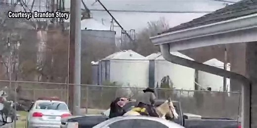 Man on mule arrested in Murray, Ky.