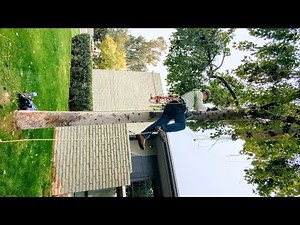 Climb Using A MULTICENDER (Rope Runner Pro, Rope Wrench, Akimbo, etc.) for Arborists & Climbers!