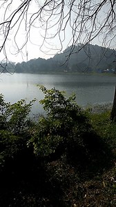 Beautiful lake