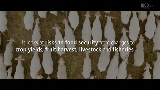 #IPCC’s Working Group II contribution to the Sixth Assessment Report, #ClimateChange 2022: Impacts, Adaptation & Vulnerability is now available in HTML format. The online version includes expandable sections & direct links to figures & tables. Explore 👉 https://bit.ly/WGIIRep Read more here 👉 https://www.ipcc.ch/report/ar6/wg2/chapter/summary-for-policymakers/ #IPCC #ClimateReport | IPCC