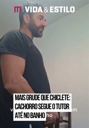 Uma cena divertida gravada em São José dos Campos está conquistando os amantes de #pets. No vídeo, Thiago mostra que seu cachorro #Caramelo, da raça #ShihTzu, faz jus ao apelido de companheiro inseparável. Tudo começa quando o tutor avisa que vai ao banheiro tomar banho. Bastou ouvir isso para Caramelo abandonar o que estava fazendo e seguir o dono imediatamente. O cão entra no banheiro junto com Thiago e se acomoda no local, aguardando pacientemente enquanto o tutor toma banho. A cena arrancou 