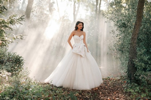 Soft hues, timeless romance—the Disney Fairy Tale Weddings 2025 Collection is here! ✨🤍 From Belle’s warm gold to Jasmine’s regal mocha and gold, each shade embodies the magic of a love story. Visit the link in our bio to see the full collection! #disneyweddings #FairytaleBridal | Allure Bridals