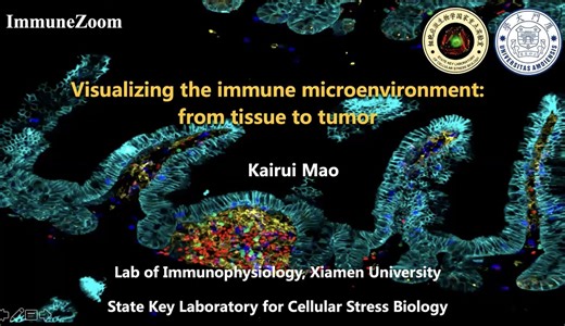 Visualizing the immune microenvironment: from tissue to tumor