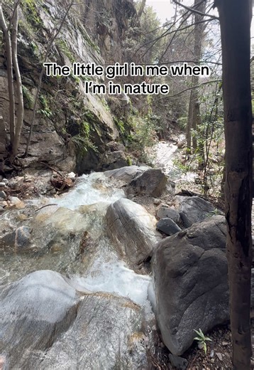 Lewis Falls: A Short but Sweet Hiking Adventure