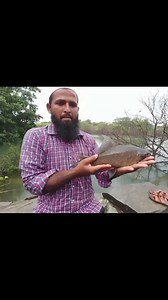 Black carp hooked #reels #viral #reelafb #reelsvideo #reelsviral #fish #fishing | Underground Hunter