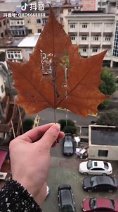 7.9K views · 247 reactions | Wow. Join our group: Cat Planet Chat | Cat Planet | Facebook