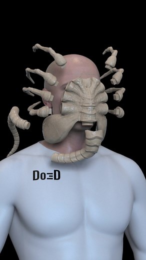 Get ready for an exciting release! Our Alien Romulus Facehugger 3D print file is releasing very soon! https://www.do3d.com . #alienromulus #alien #horror #ufo #scifi #3dmodeling #3dprinting #cosplay #do3d