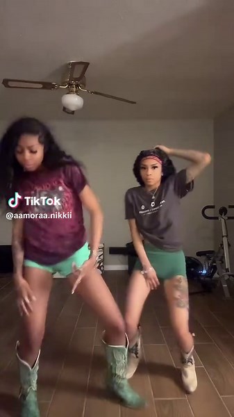 Horses Playing in the Backyard: A Fun Encounter