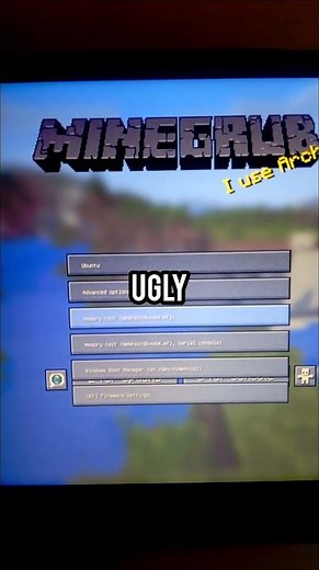 I installed MINECRAFT ⛏️ theme in my dual boot loader #minecraft #windows #linux