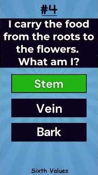 RIDDLES QUIZ EP 39 #riddles #generalknowledge #quiz # fun #logic #education